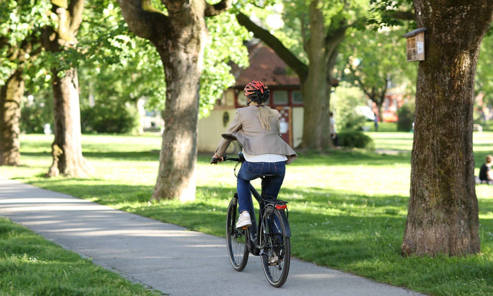 Willdienstrad dienstrad finanzierung - bester anbieter