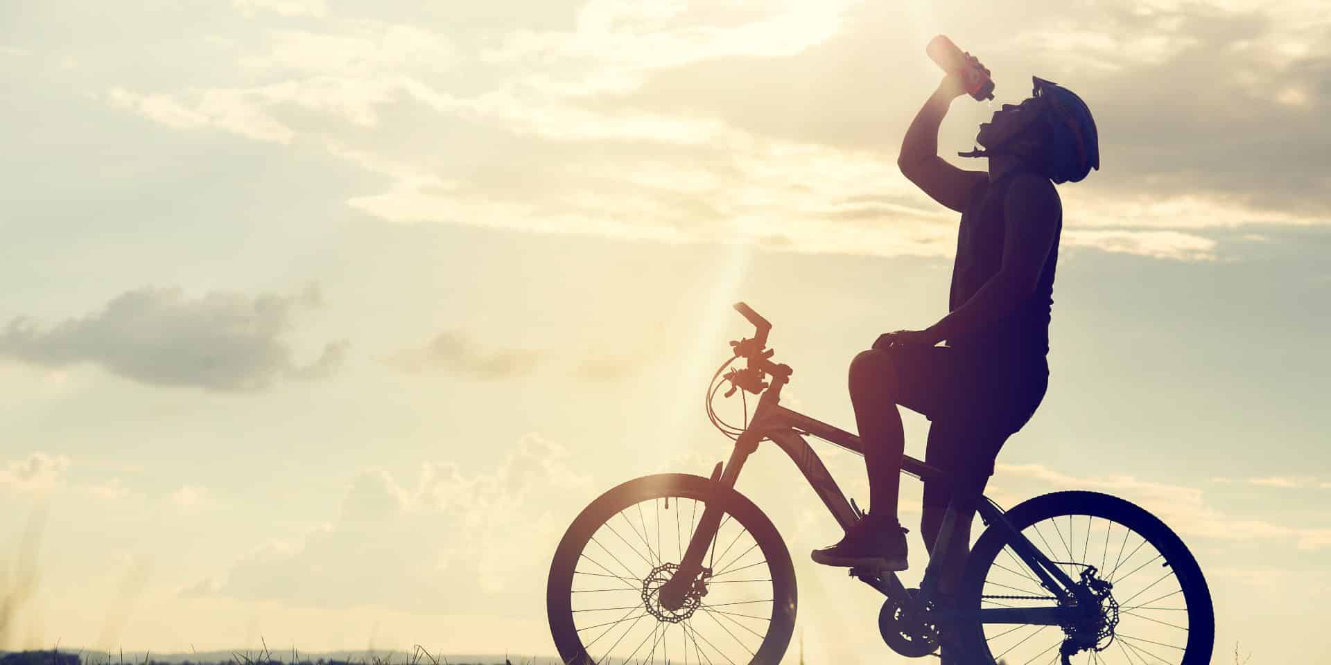 Fahrrad zum Abnehmen, Dienstrad, E-Bike